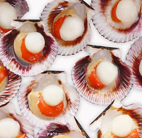 Half-Shell Scallops 