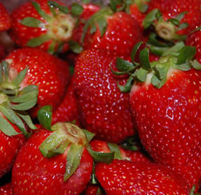 Fresas