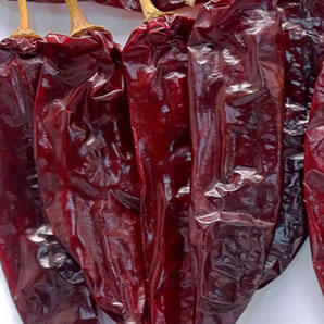 projects_pic1 Paprika